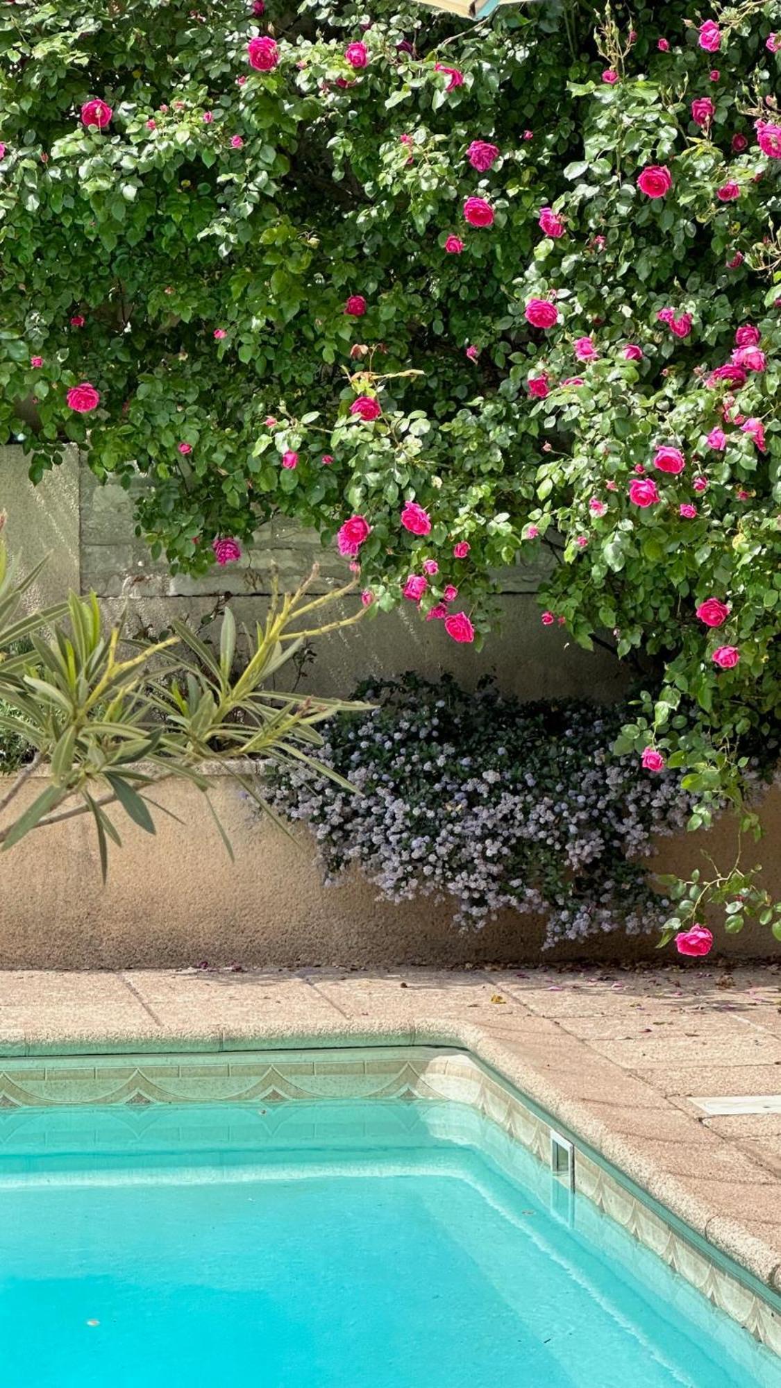 La Cour Des Delices Bed & Breakfast Gigny  ภายนอก รูปภาพ