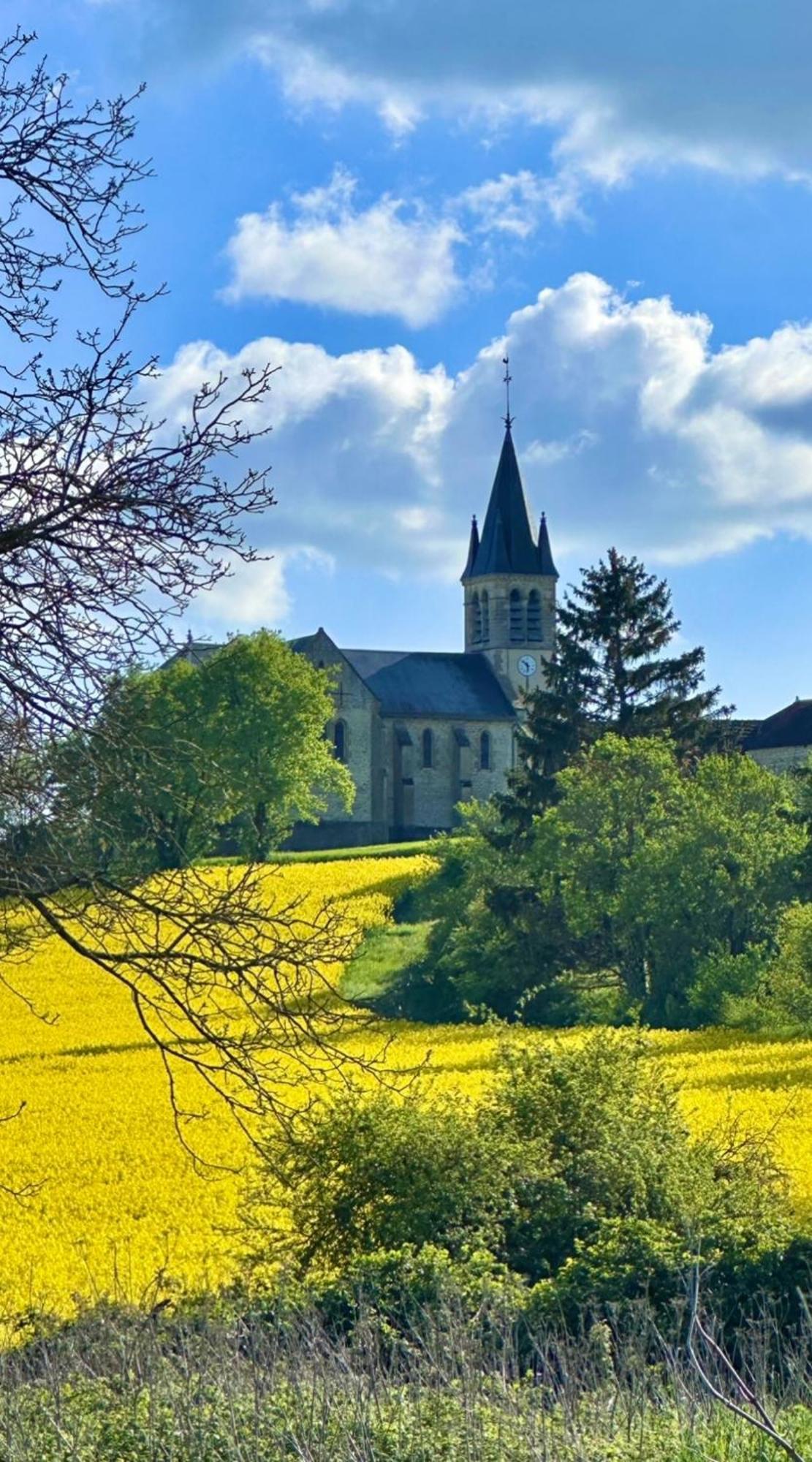 La Cour Des Delices Bed & Breakfast Gigny  ภายนอก รูปภาพ